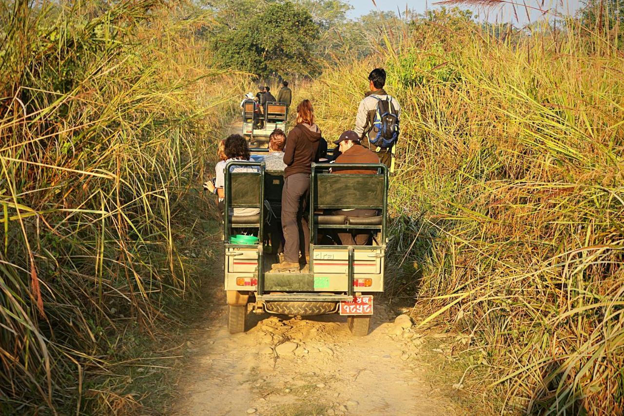 Tiger Corner Inn Homestay Sauraha Zewnętrze zdjęcie