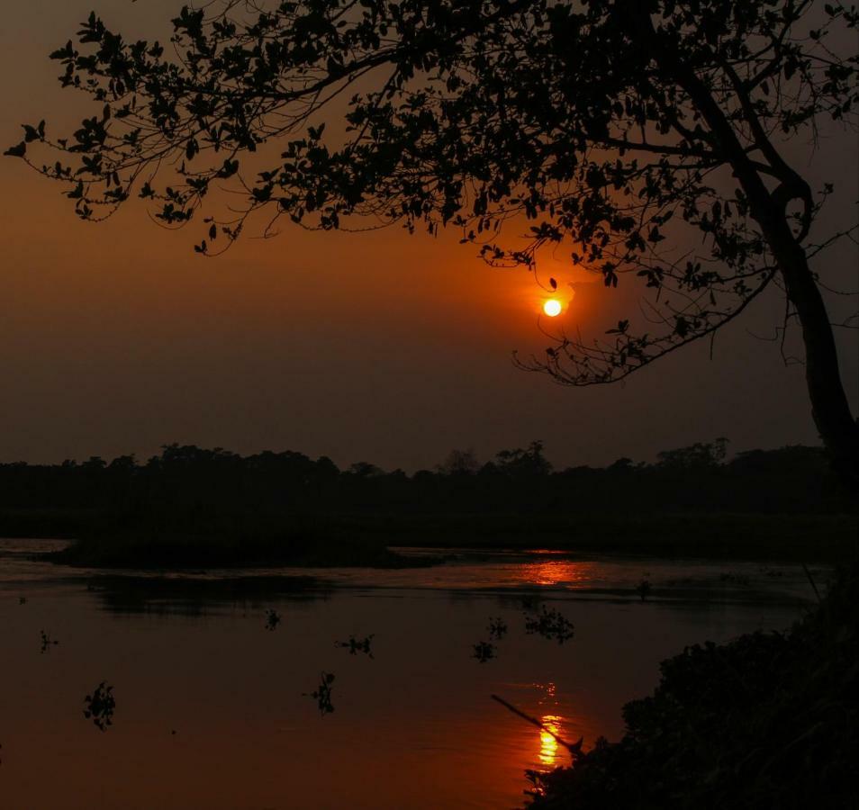 Tiger Corner Inn Homestay Sauraha Zewnętrze zdjęcie